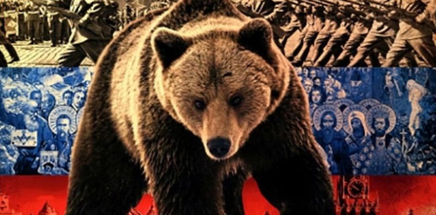 Почему медведь - символ России? - «Стиль жизни»