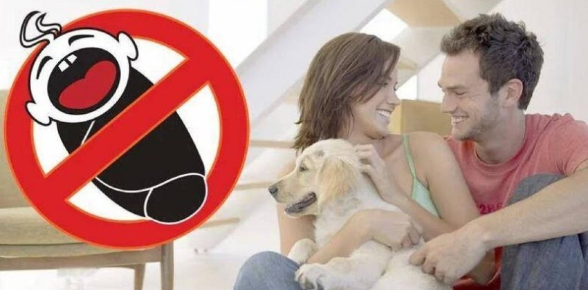 Чайлд-фри: почему это не норма - Женский блог.