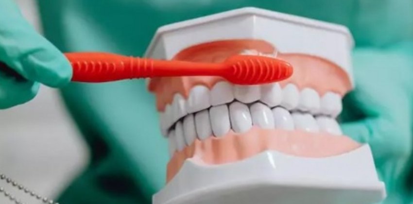 Как потеря зубов отражается на здоровье - «Здоровье»