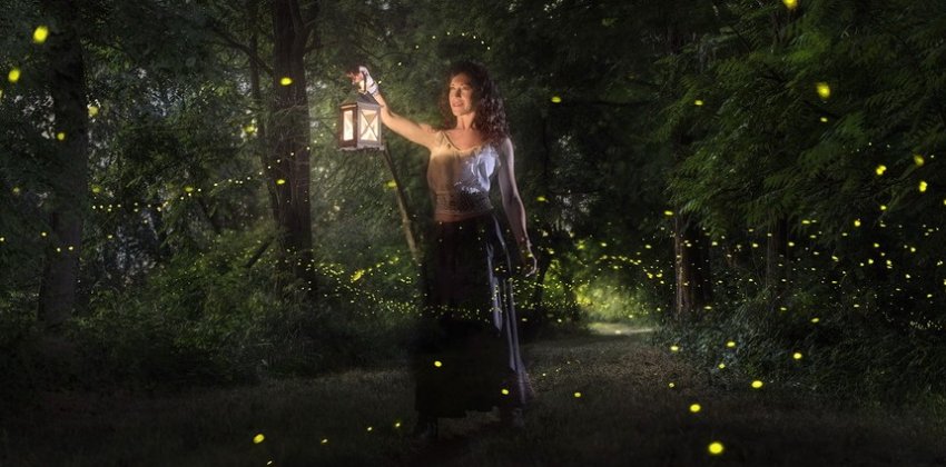 Женщина отказалась изображать светлячка - «Стиль жизни»