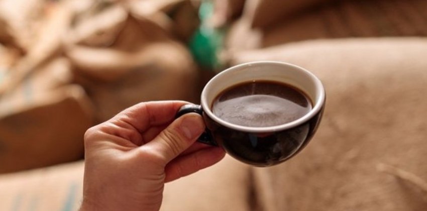 Палочка корицы в чашке - «Стиль жизни»