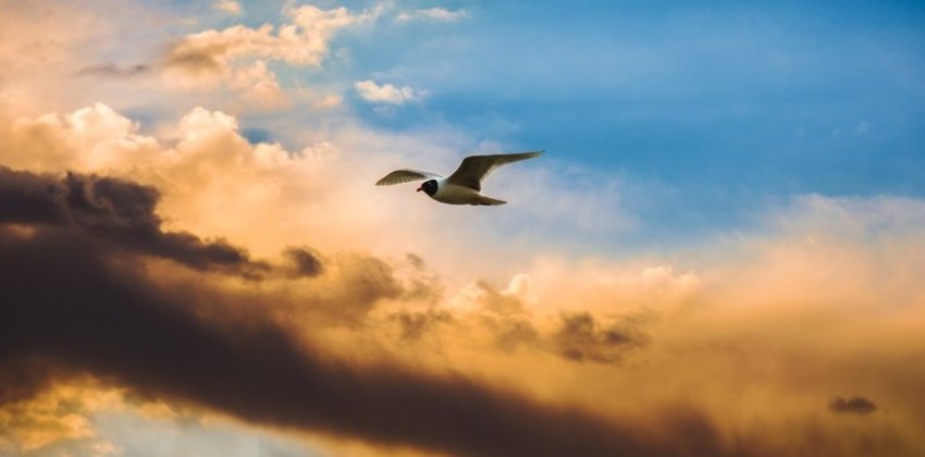 Женщина ушла от дочери в хорошее место - Женский блог.